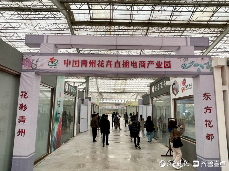 绿色的希望：苗木行业的春天来了