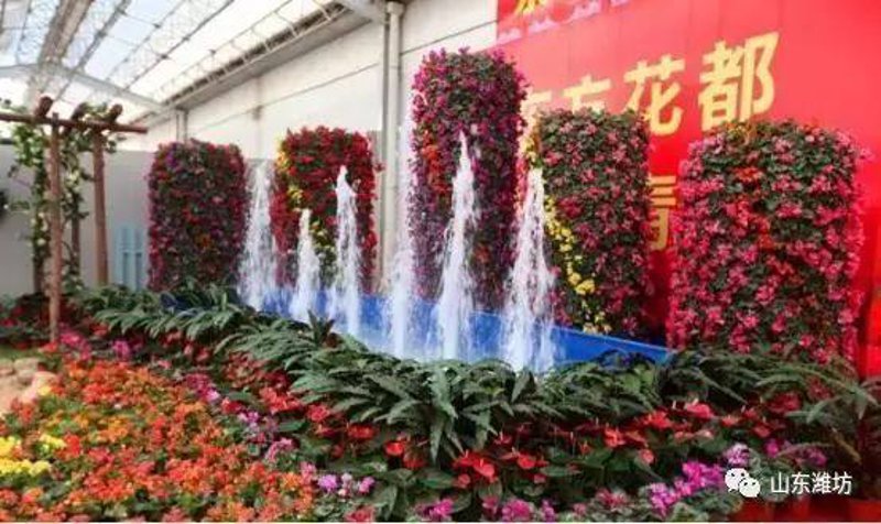 绿化苗木行业的最新发展动态