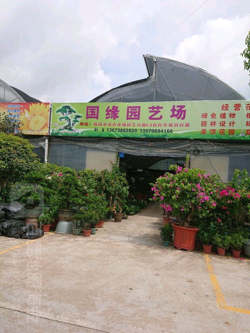 绿色的希望：苗木行业的春天来了